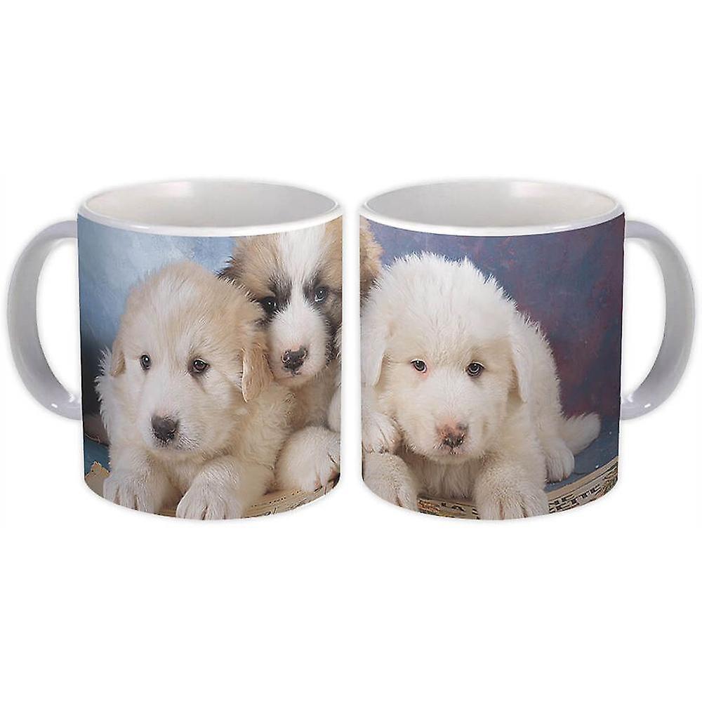 Gift Mug: Poodle Dog