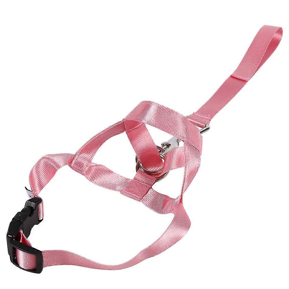 Puppy Training: Nylon Anti - bite Anti - eating Leader Pull Straps