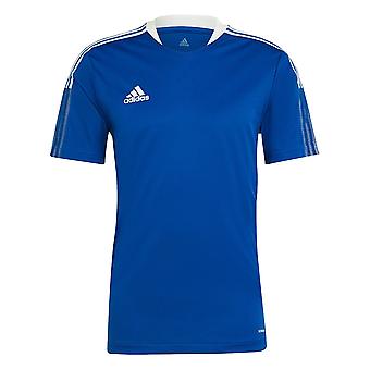 Adidas Tiro 21 GM7589 football all year men