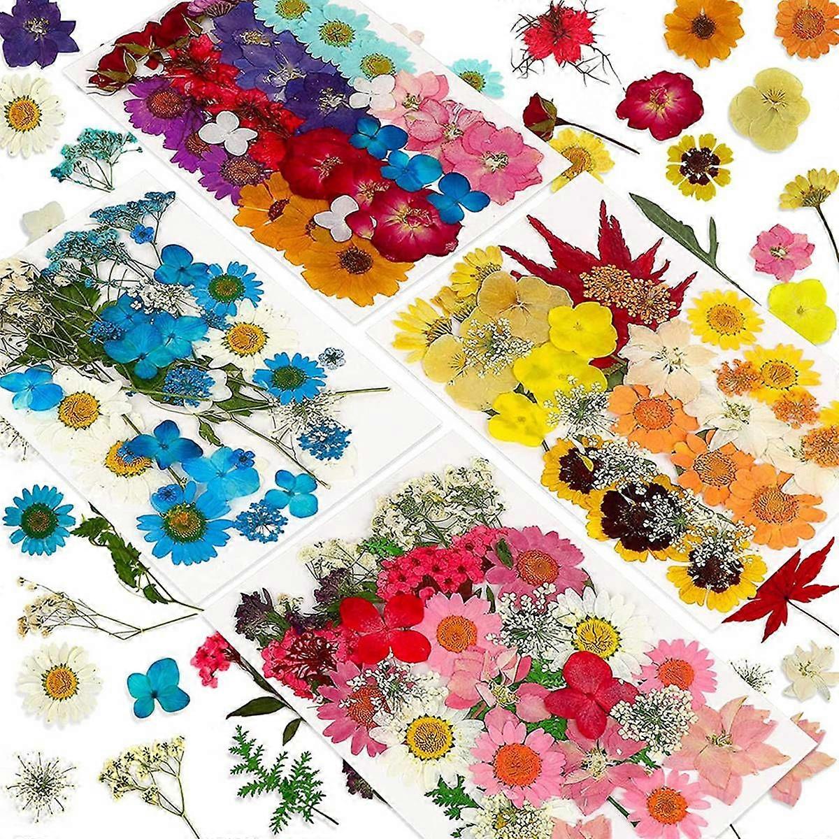 144PCS Natural Dried Pressed Flowers for Resin,Dry Flower Bulk Natural Herbs Kit for Candle,Epoxy Resin,DIY Art Crafts