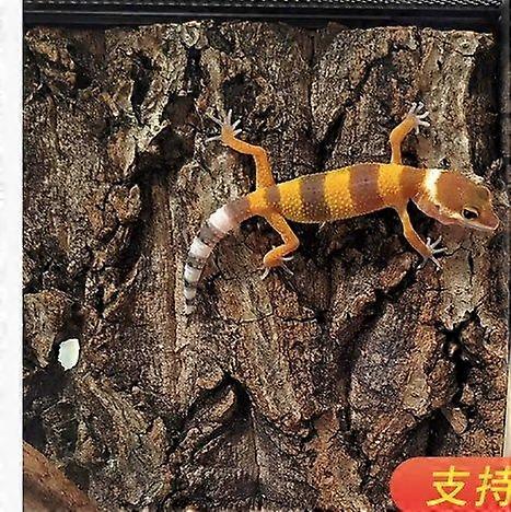 4pcs Bark Backdrop Reptile Background Climbing Wall Terrarium Accessories Reptile Hide Cave Basking Platform for Snake Spiders Gecko