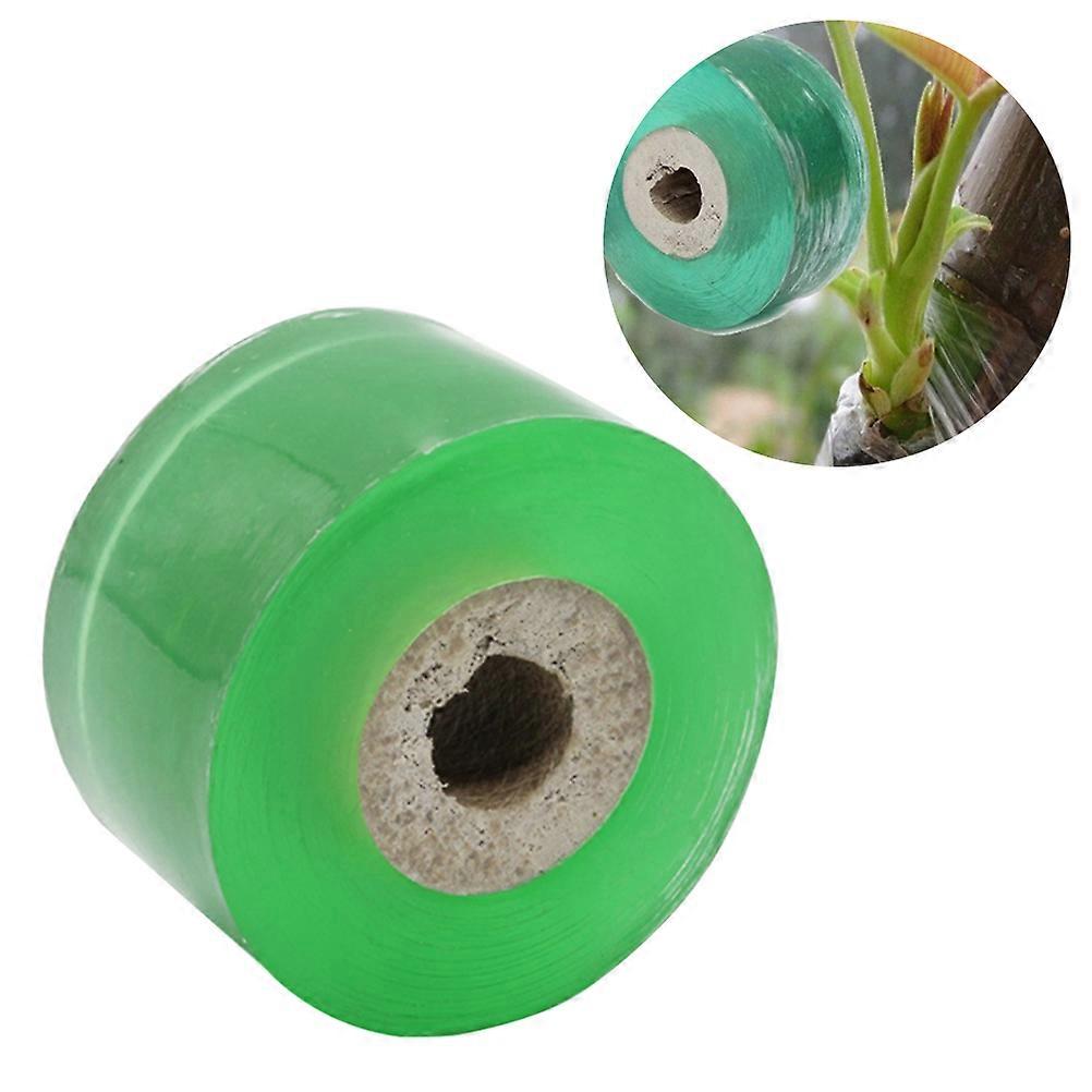 Stretchable Self adhesive Grafting Tape Clear Floristry Film for Pecan Walnut Citrus Avocado Trees 2.5mm Green 2pcs