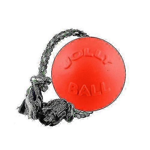 Hundeball - Toben und Rollen