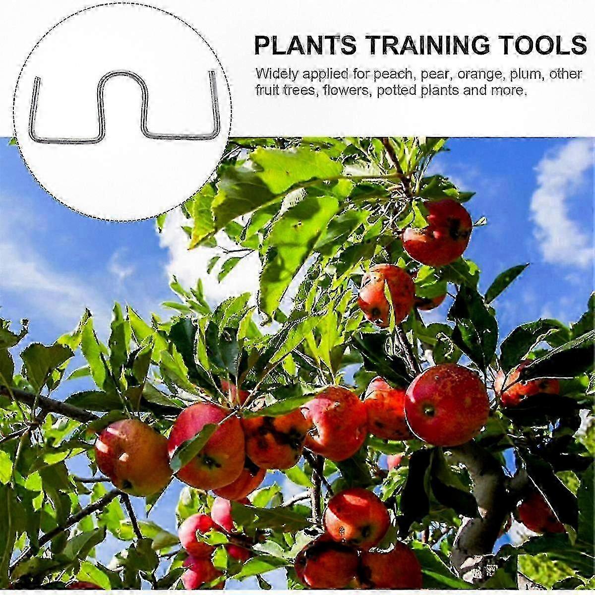 Fruit Tree Branch Bender Tool with 50pcs for Farm Gardening Open Angle Adjustable Pulling Device