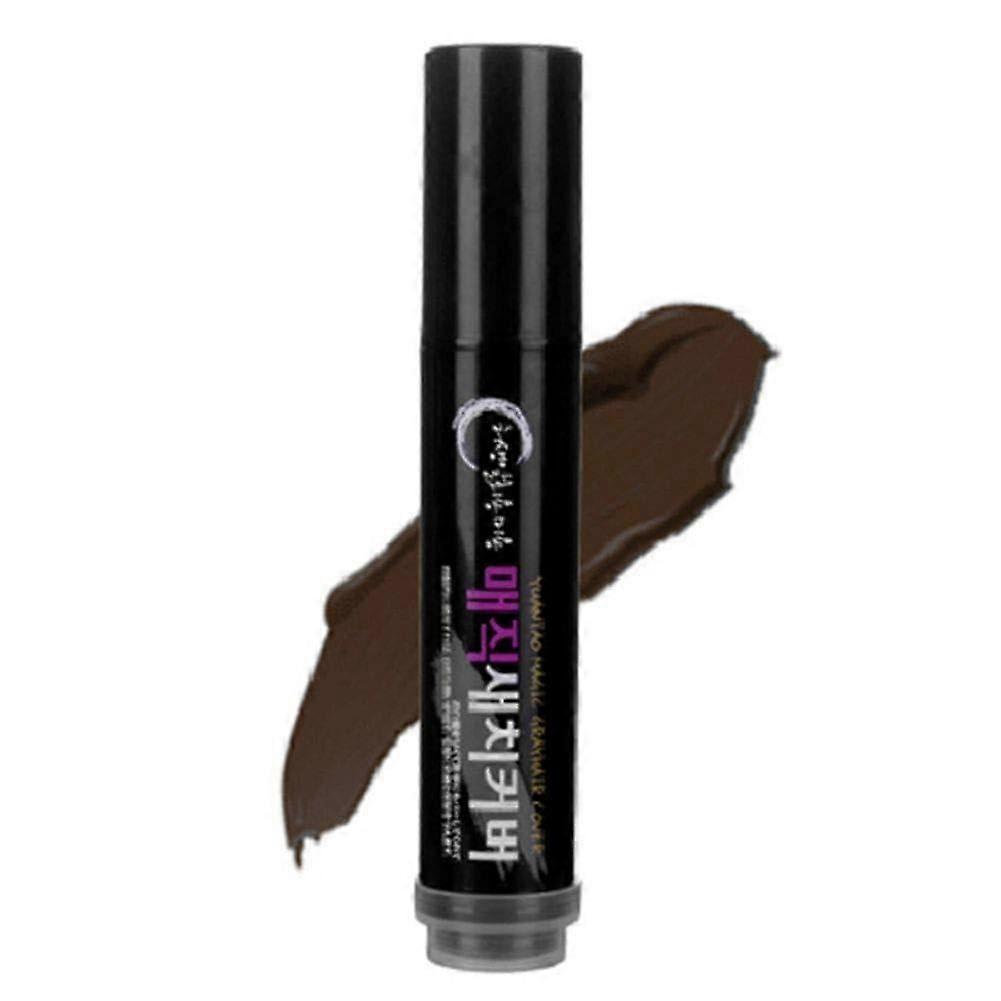 Gray Root Touch Up Hair Color Pen with WaterResistant Finish for Fast Precise Coverage