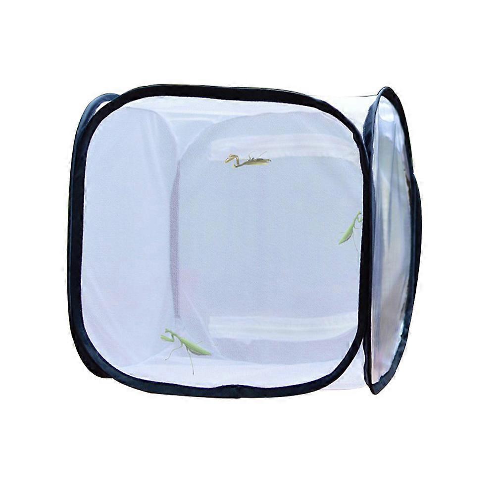 Portable Insect Cage Bug House for Children Learning 3Pcs Set