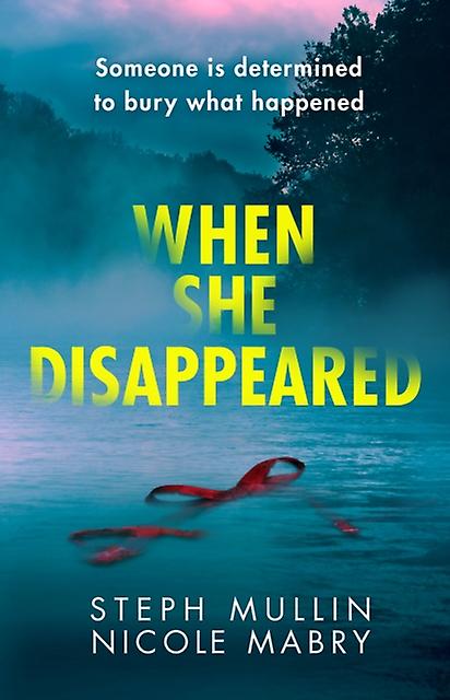 When She Disappeared by Nicole Mabry Paperback