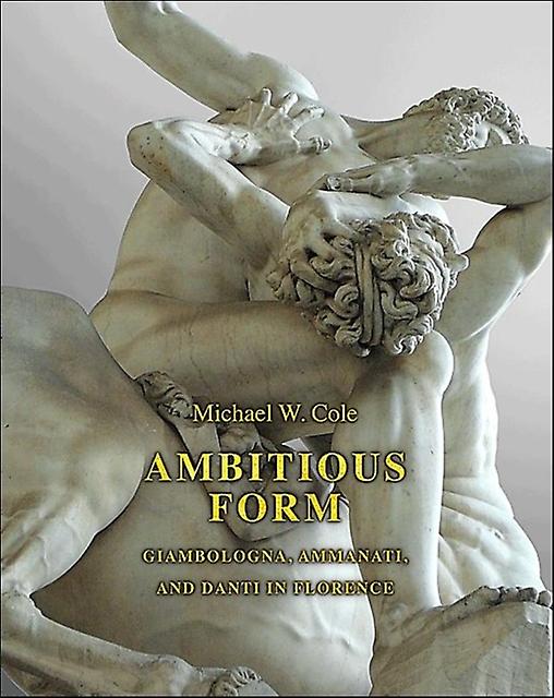 Ambitious Form by Michael W. Cole Paperback Book