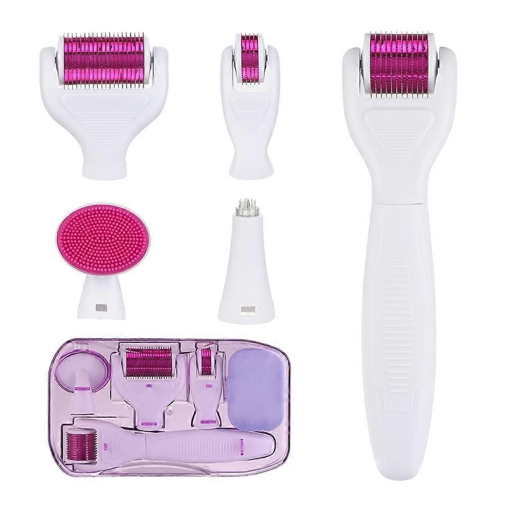 6 in 1 Derma Roller Kit for Face and Body - 0.25mm and 0.3mm Micro Needle Dermaroller with 5 Replace
