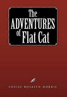 The Adventures of Flat Cat