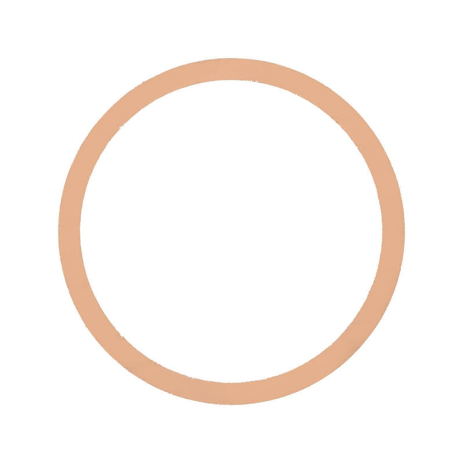 Diesel Particulate Filter DPF Gasket For Navistar International 2594129C1 New NO.1755