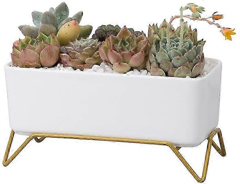 2024  Ceramic Flowerpots With Iron Stand - For Succulents - Rectangular - For Office, Succulents