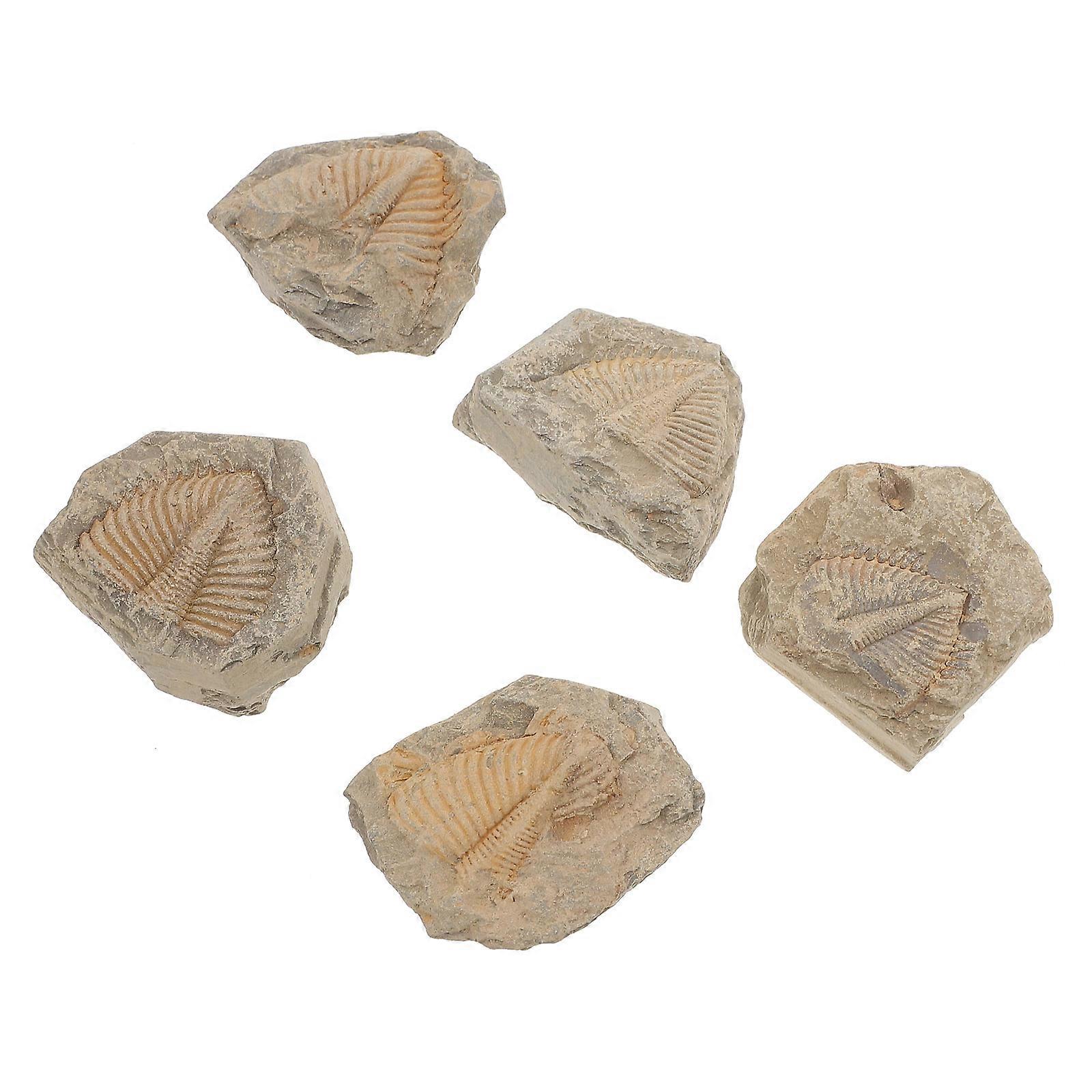 5pcs Ancient Creature Model for Decoration Random Shape