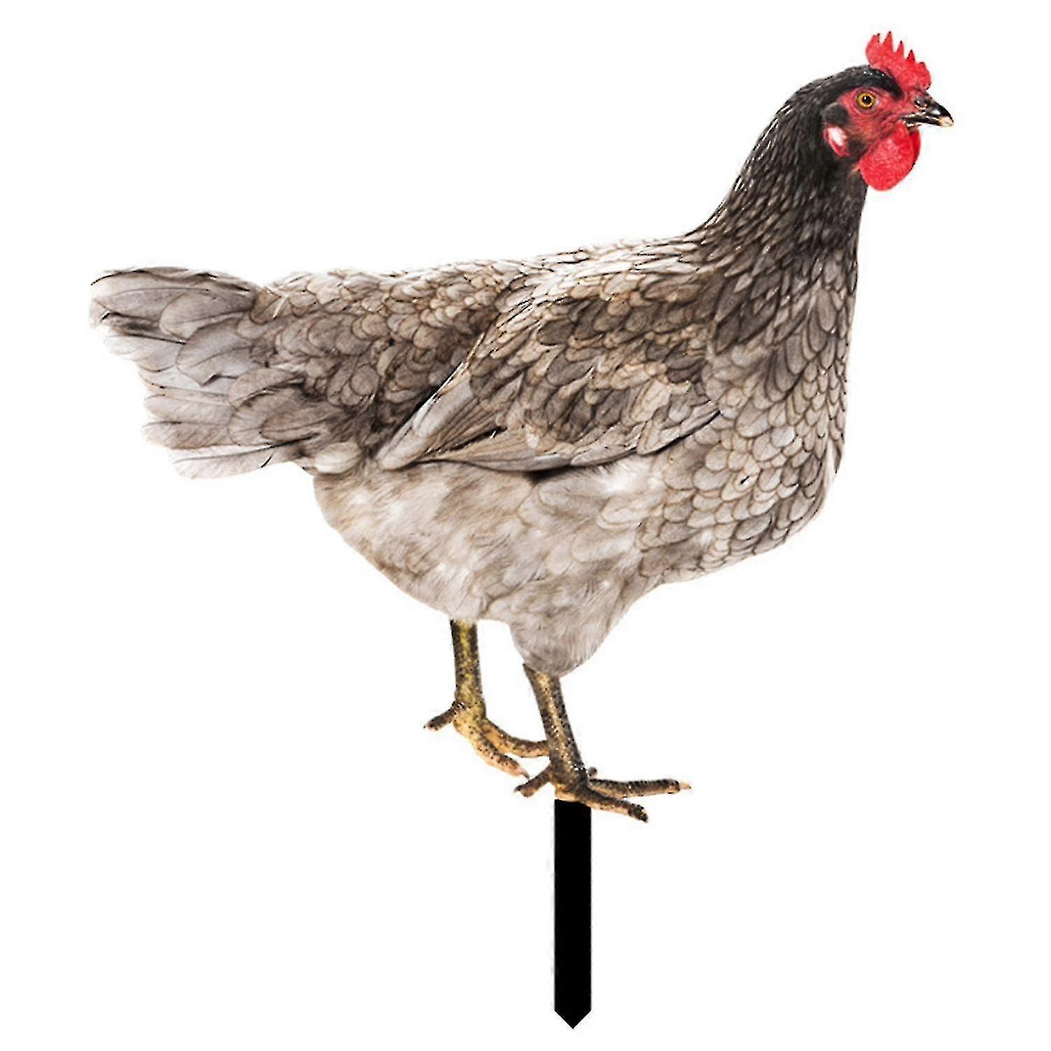 تمثال حديقة أكريليك مطبوع على الوجهين يشبه الحياة يتميز بزخرفة الديك