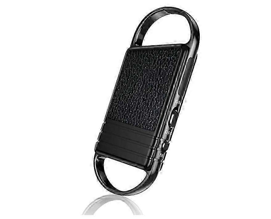2025 16GB Voice Recorder, Portable Voice Activated Recorder for Meetings Interviews Classes Lectures(Black)
