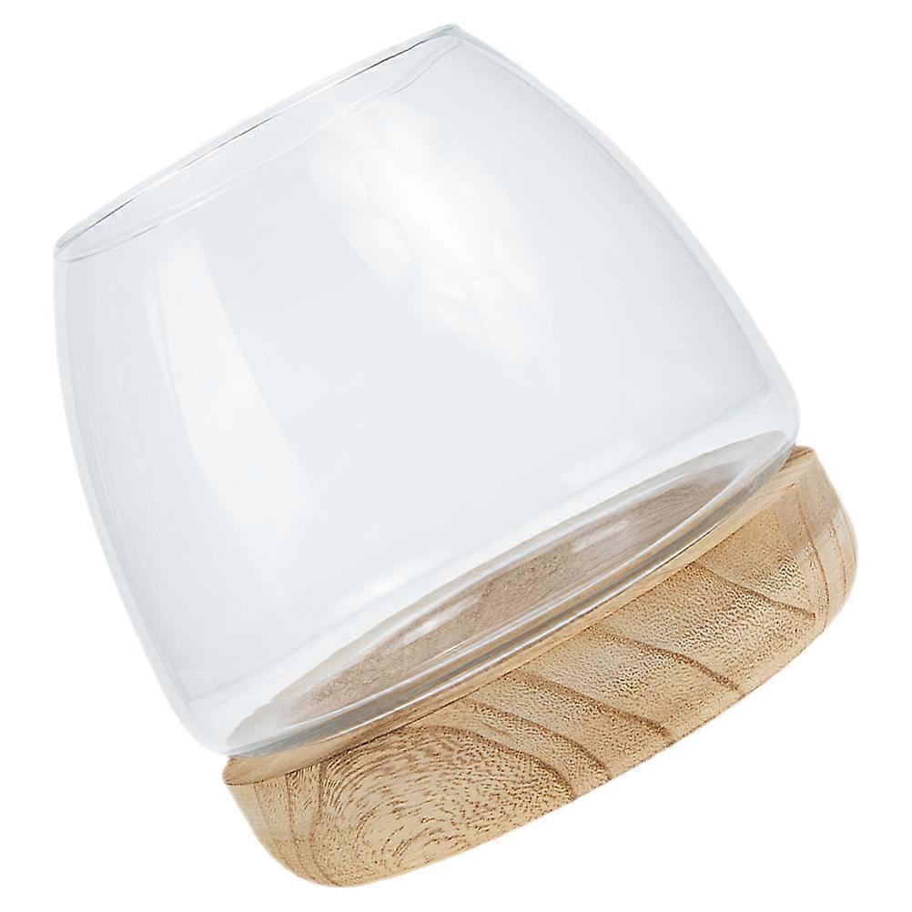 Glass Planter Fish Tank for 3Sets Hydroponic Plant with Wooden Base