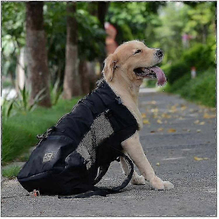 Pet Köpek Taşıyıcı Seyahat Sırt Çantası Açık Havalandırma Nefes Bisiklet Motosiklet Açık Yürüyüş Spor Örgü Çanta