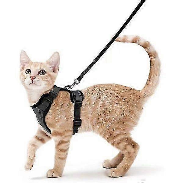 2025 Adjustable Black Cat Collar for Puppies