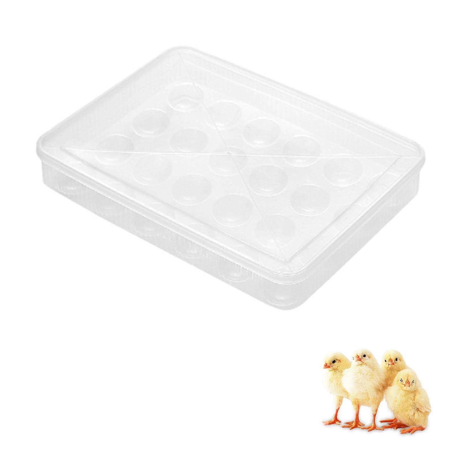 Deviled Egg Containers With Lid Reusable 24Egg Capacity Tray 1 Pack Plastic Egg Tray Box For Hatching Incubators