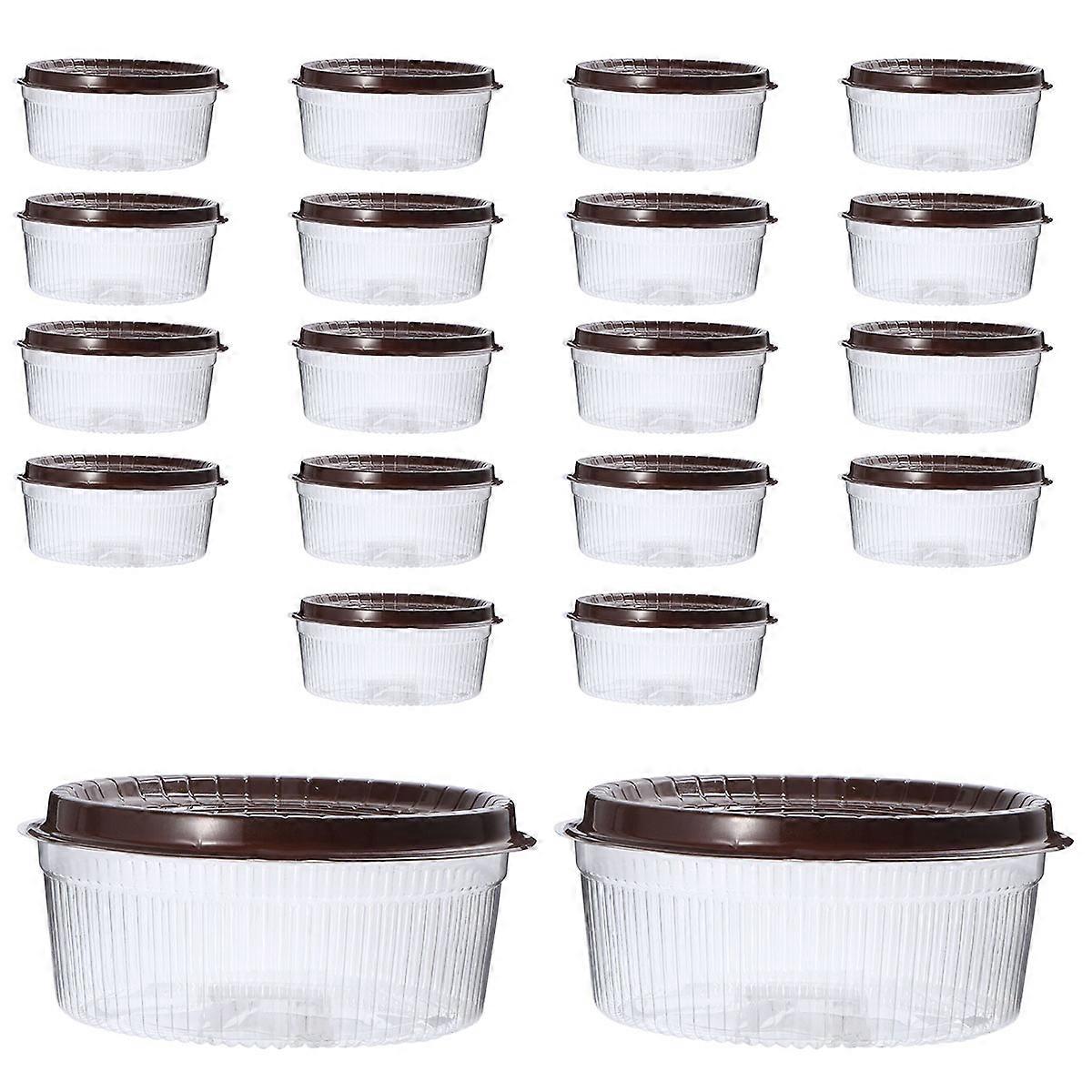 Transparent Plastic Cake Boxes for Protection 20Pcs Black Muffin Holders