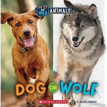 Hond of wolf (wilde wereld: huisdieren en wilde dieren)
