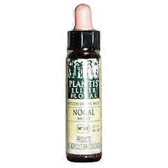 Walnut No. 33 Eco 10 ml of floral elixir