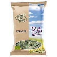 Verbena plant Eco 45 g