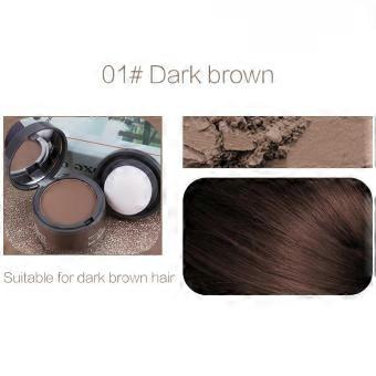 1Pc Water Proof Lasting Hair Line Powder In Hair Color Edge Control Hair Line Shadow Makeup Hair Concealer
