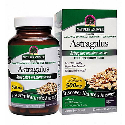 Nature's Answer Astragalus Wurzel standardisiert, 60 Vcaps (2er Pack)