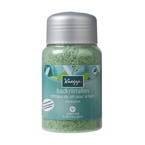 Bath Salts - Eucalyptus 500 g