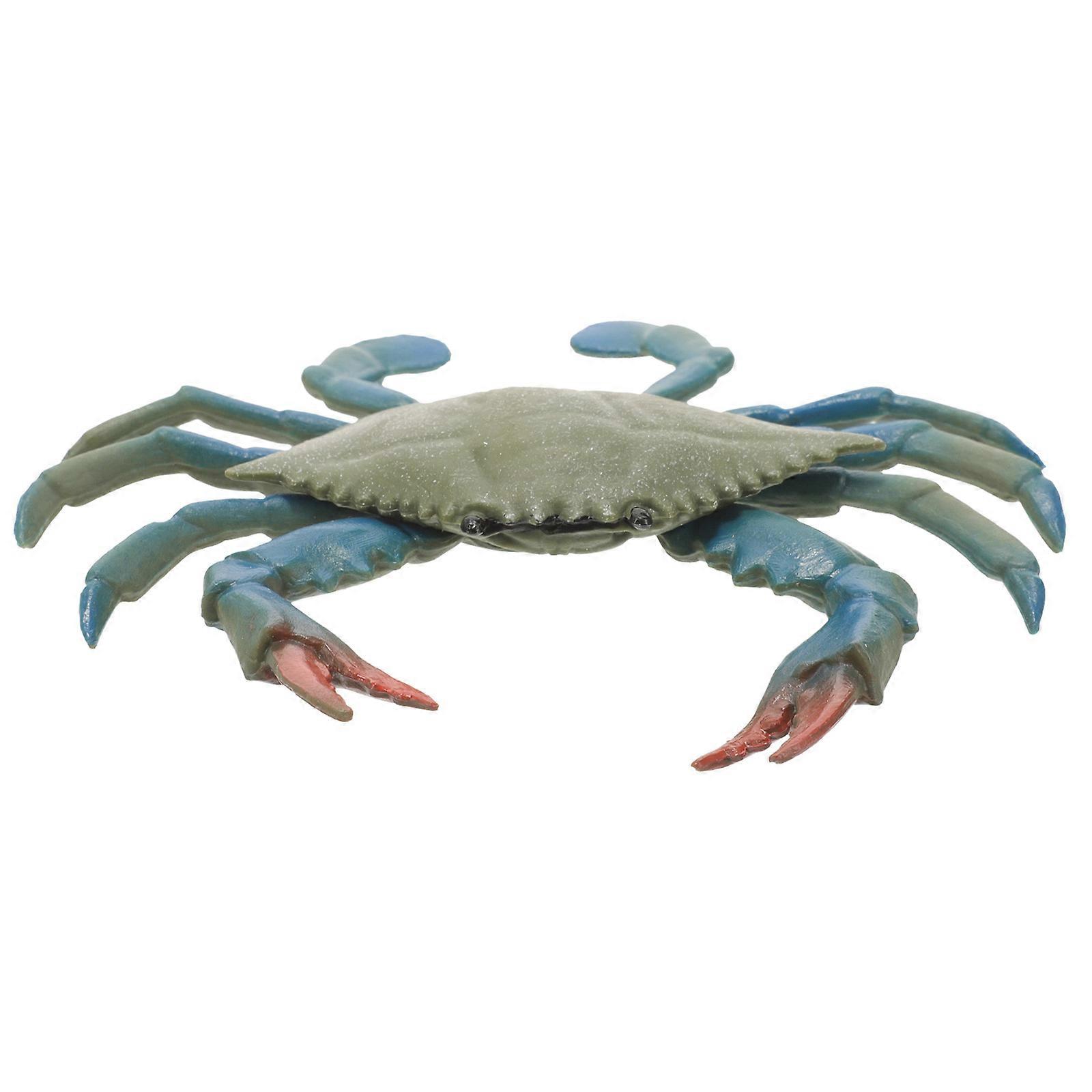 Realistic Crab Model for Educational Play, Fish Tank Decoration, and Learning Activities – Durable Material with Detailed Design for Home and
