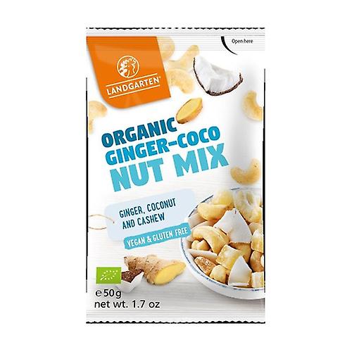 Ginger and Coconut Mix 50 g