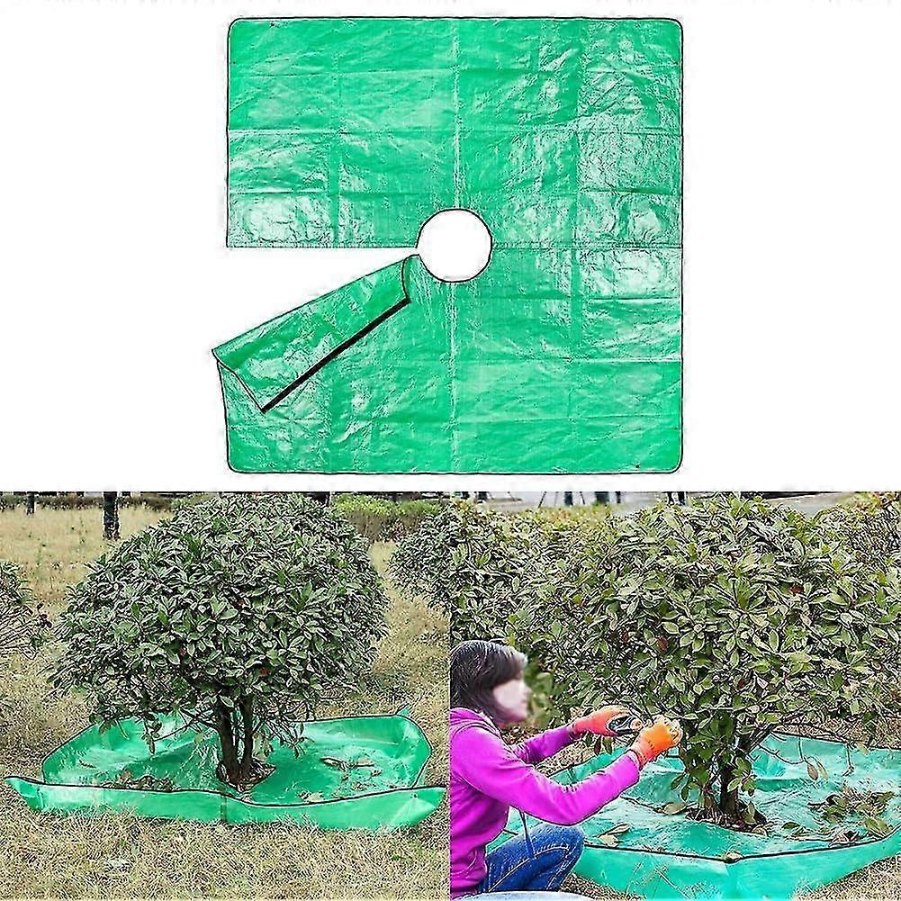 Garden leaf collector tarp for tree pruning and care
