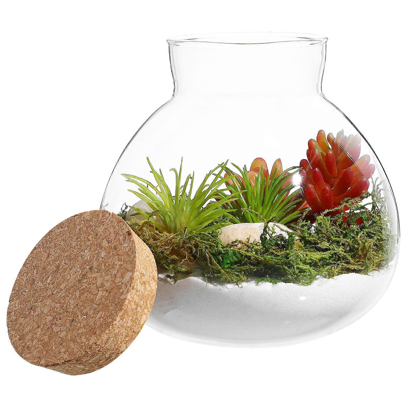 Glass Terrarium Canister for Micro Landscape DIY 2Pcs with Cork Lid