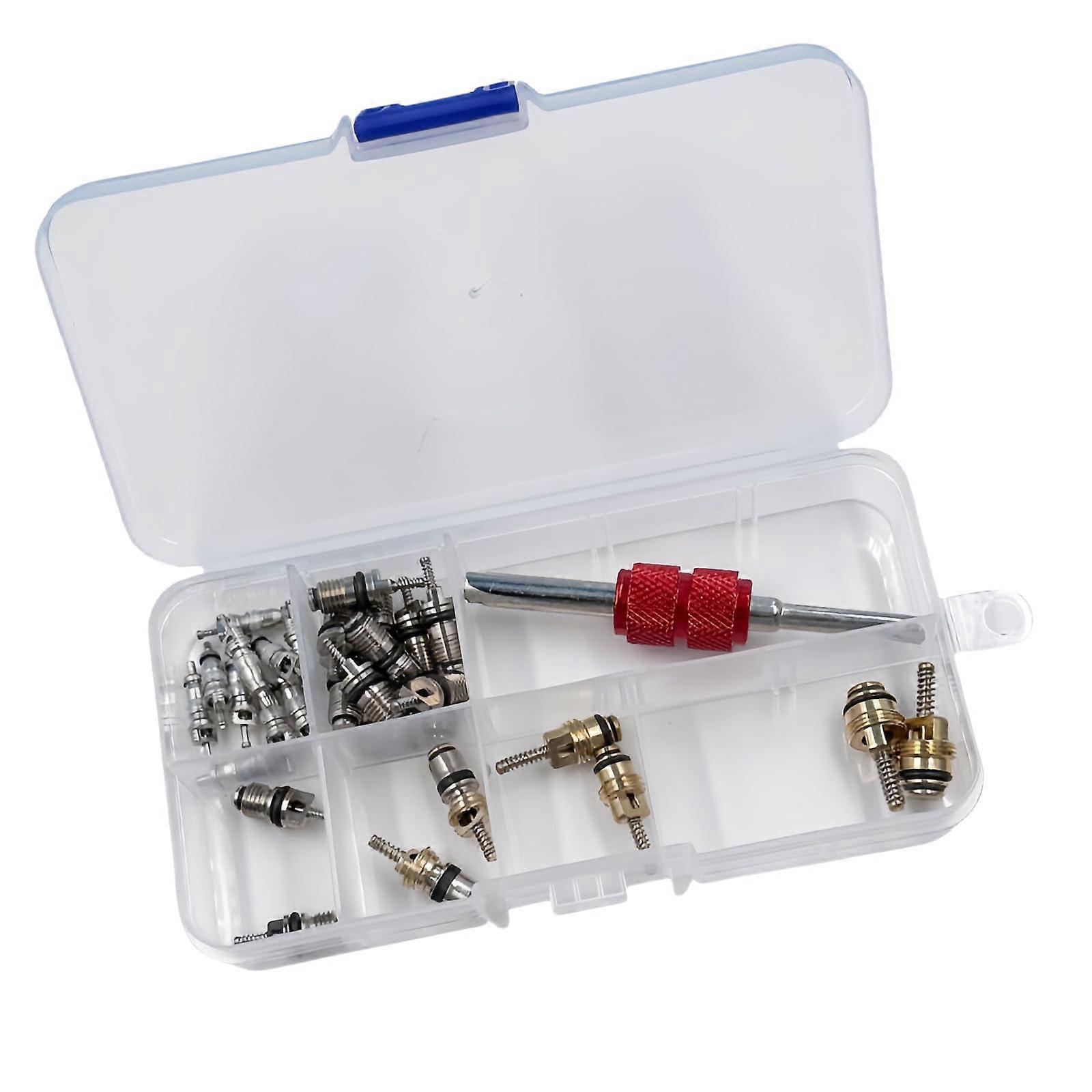 Automotive AC Valve Core Replacement Kit with Removal Tool, Universal Set for Car Air Conditioning