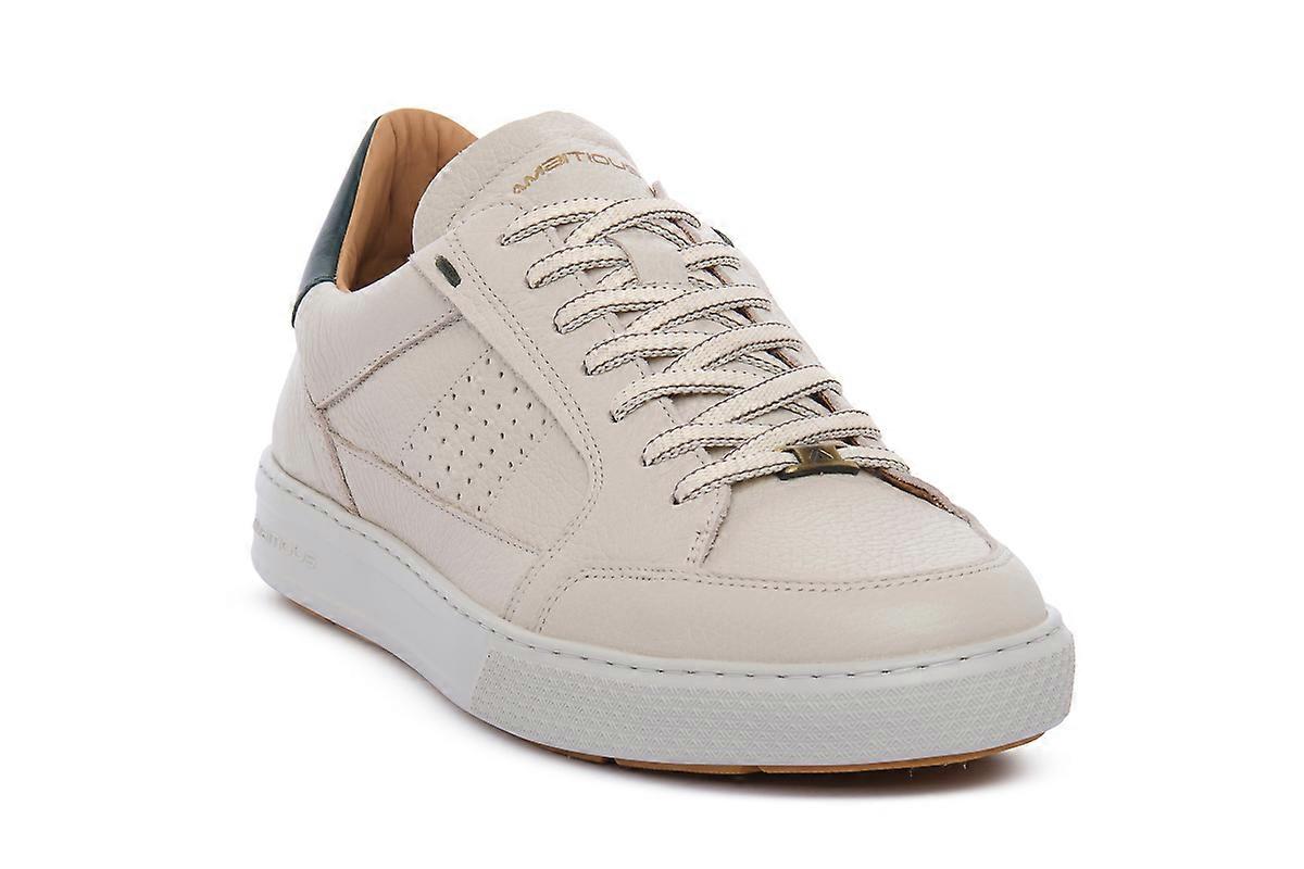 Baskets mode Ambitius 7333 Anopolis