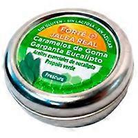 Forté Eucalyptus Gum Candies 45 g