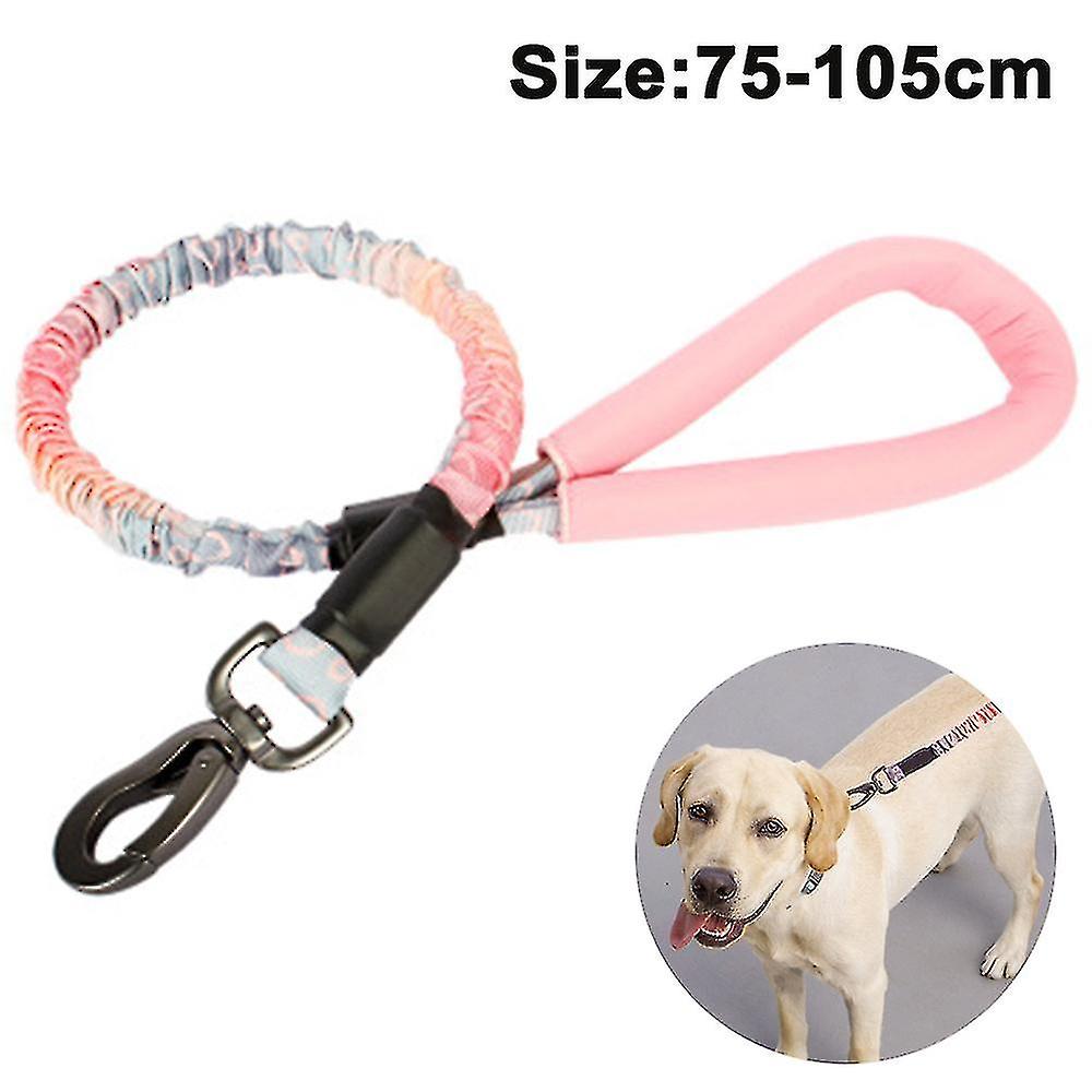 Heavy Duty Rope Bungee Leash For Large And Medium Dogs With Anti-pull