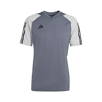 Adidas Tiro 23 Competition HP1906 training all year men