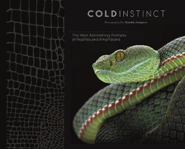 Cold Instinct by Matthijs Kuijpers Hardback Book