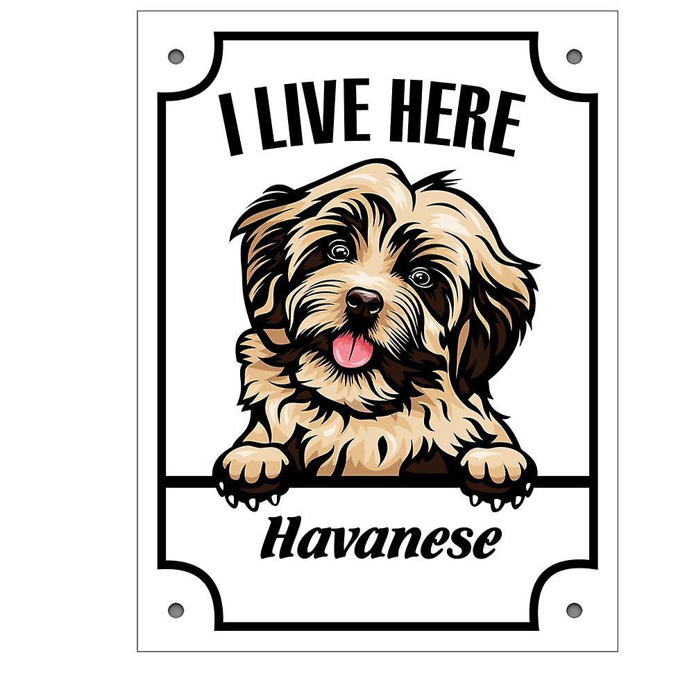 Sinal de lata Havanese Kikande sinal de cachorro 