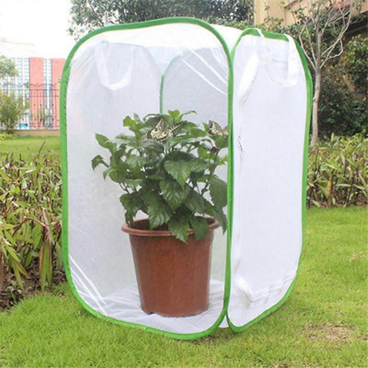 Κλουβί εντόμων και πεταλούδων Terrarium Pop-Up 23,6 ίντσες ψηλό φυτώριο φυτών Κουτί Α