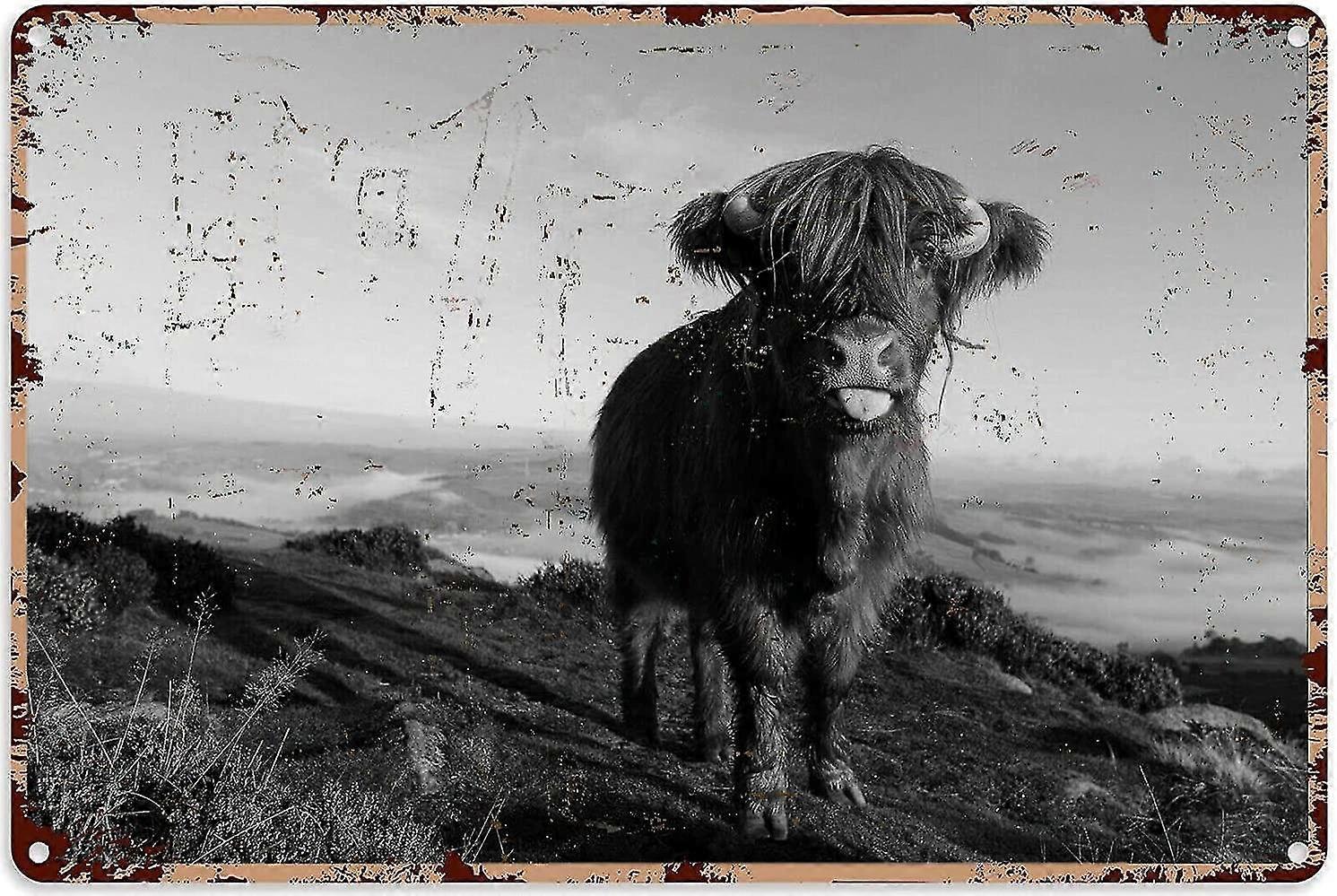 Highland αγελάδα μπάνιο εικόνα Highland αγελάδα ρουστίκ σπίτι διακόσμηση κασσίτερος σημάδι 8x12 ίντσα Ή 12x16 ίντσες λειτουργία