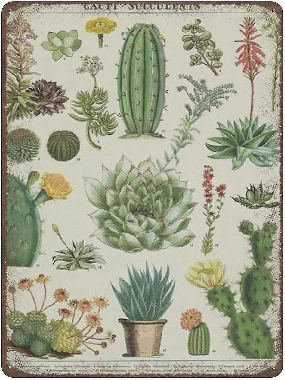 Decoração de Flores Botânicas de Lata de Metal 8x12 Polegadas OU 12x16 Polegadas Modo 1829