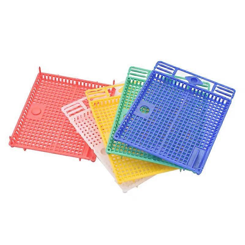 Gaibosi 5PCS Multi-functional Introduction Plastic Large Space New King Cages Plastic Round Flat Queen Introducing Cage Beekeeping Tools