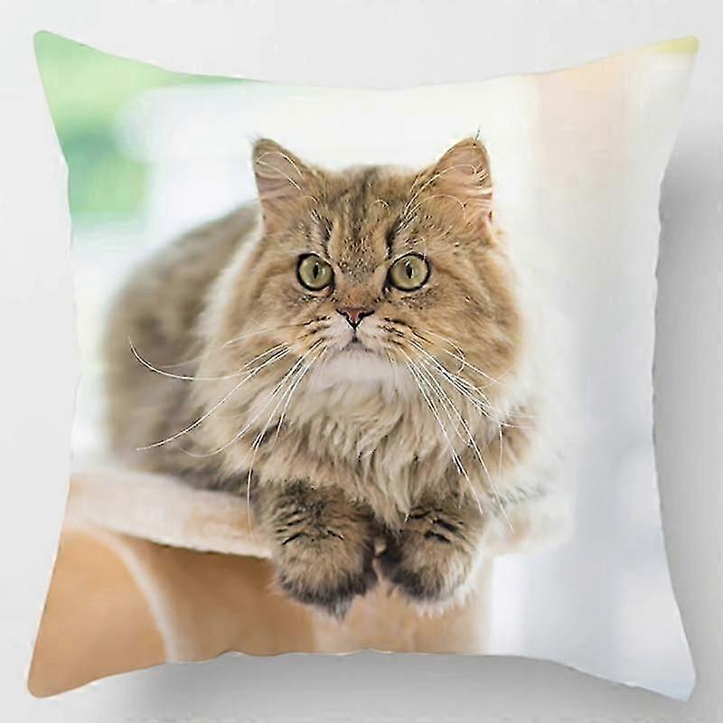 Cat Collection Pillowcase Home and Office Decor Square Pillowcase PILLOWCASE-1369