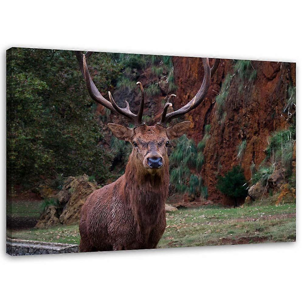 Impression sur toile, Roi de la forêt - 120x80