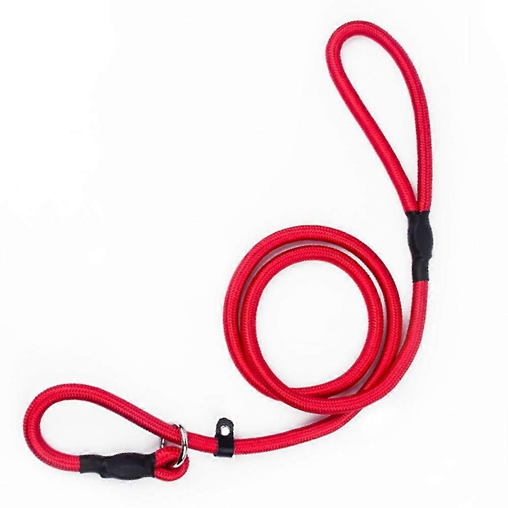 Dog Outdoor Long Carrier Leash