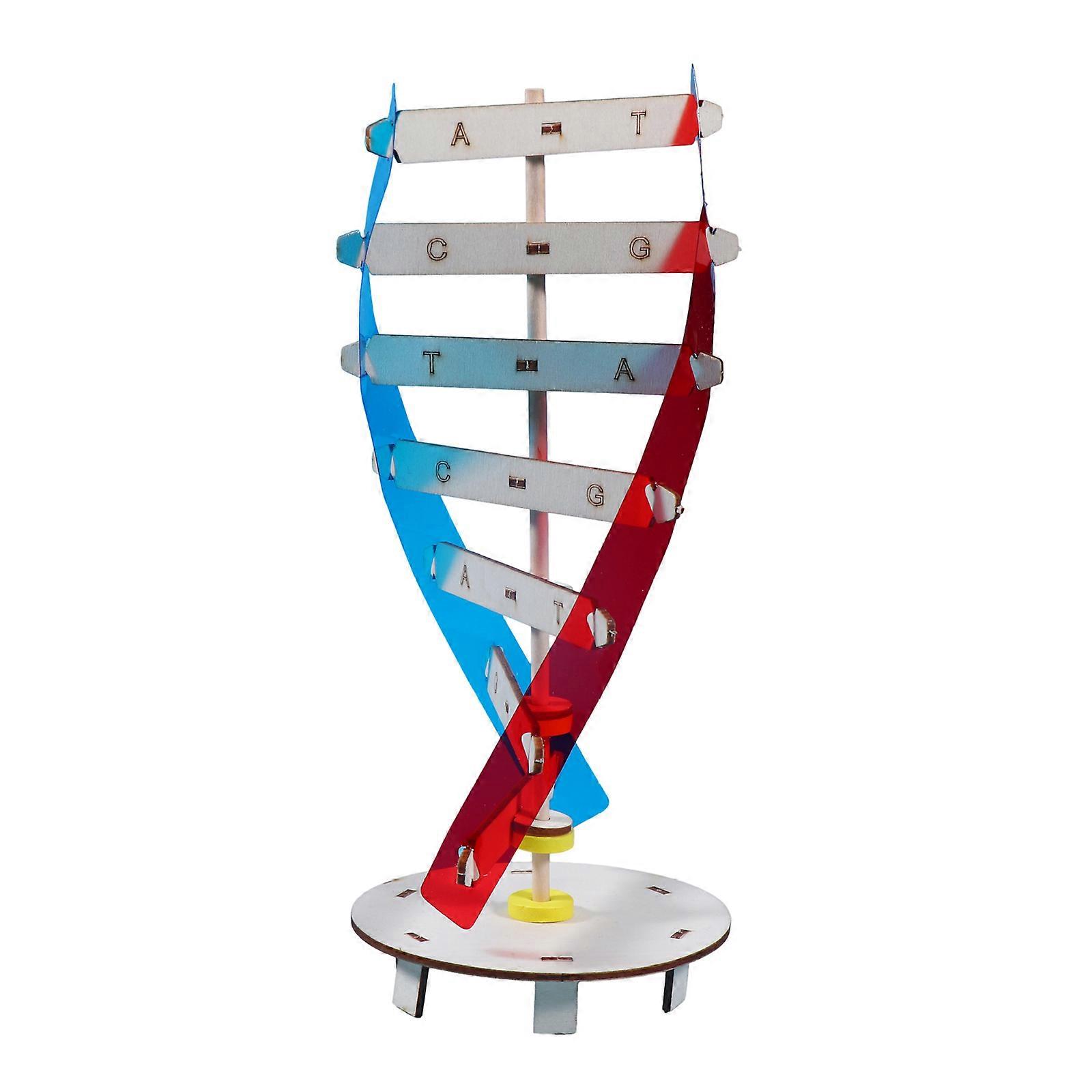 DNA Models Double Helix Model Science Educational Teaching Instrument Toy Human Genes Learning Tool for DNA Assembling
