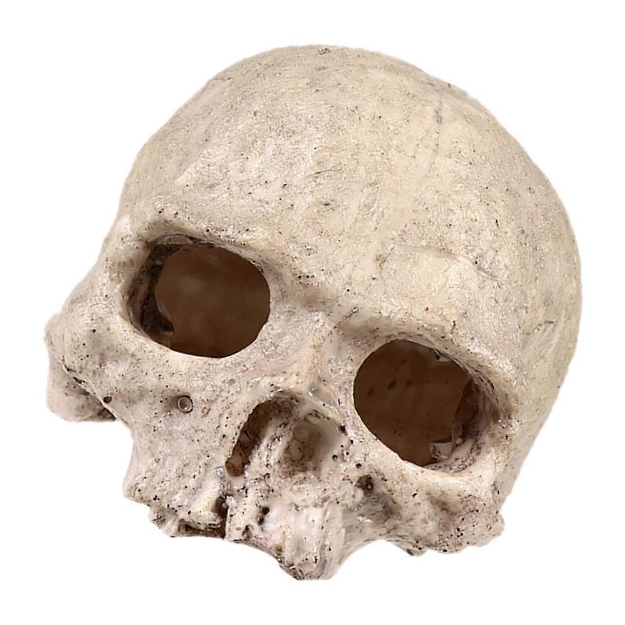Aquarium Resin Skull Decoration for Aquariums and Reptile Houses, Durable and Material for Small Fish Hideout